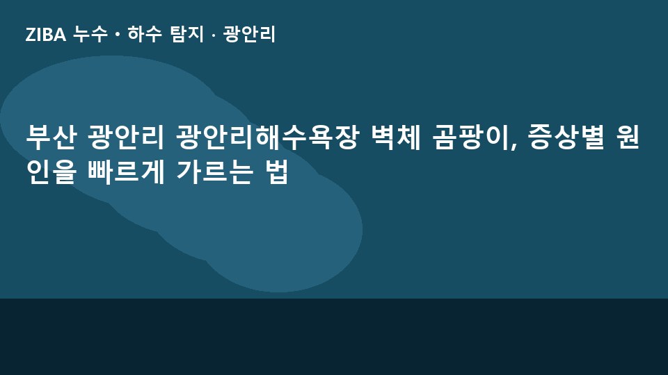 부산 광안리 광안리해수욕장 벽체 곰팡이, 증상별 원인을 빠르게 가르는 법