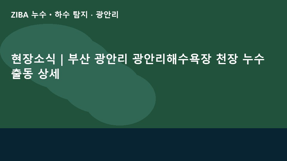 현장소식 | 부산 광안리 광안리해수욕장 천장 누수 출동 상세