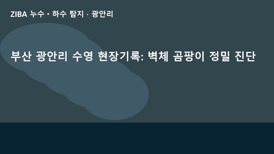 부산 광안리 수영 현장기록: 벽체 곰팡이 정밀 진단