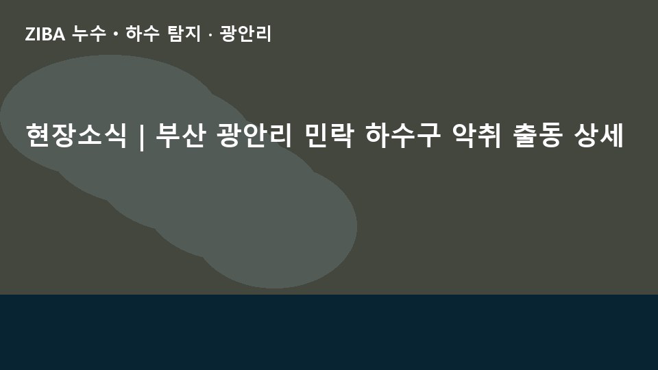 현장소식 | 부산 광안리 민락 하수구 악취 출동 상세